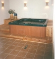 Basement hot tub area
